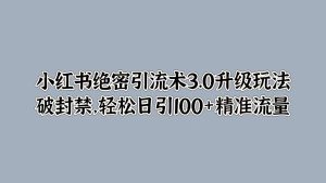 小红书绝密引流术3.0升级玩法，破封禁，轻松日引100+精准流量-哦耶社群