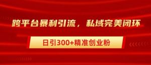 跨平台暴力引流，私域完美闭环，日引100+精准创业粉-哦耶社群