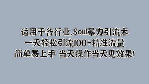 Soul暴力引流术，一天轻松引流100+精准流量，简单易上手 当天操作当天见效果!-哦耶社群
