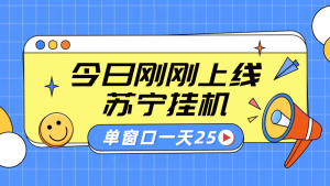 苏宁脚本直播挂机,正规渠道单窗口每天25元放大无限制-哦耶社群