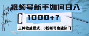 视频号新手如何日入1k？三种收益模式，0粉新号也能热门-哦耶社群