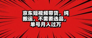 京东短视频达人带货 无脑搬运 无需选品 矩阵操作 单号一周过万-哦耶社群