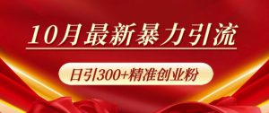 10月最新暴力引流,私域完美闭环,日引300+精准创业粉【揭秘】-哦耶社群