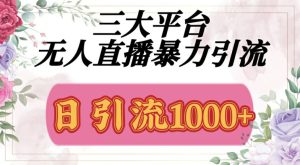三大平台无人直播引流，吸引精准创业粉-哦耶社群