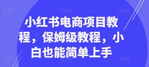 小红书电商项目教程，保姆级教程，小白也能简单上手-哦耶社群