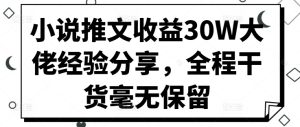 小说推文收益30W大佬经验分享，全程干货毫无保留-哦耶社群