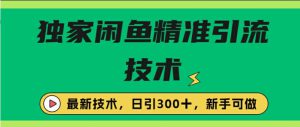 闭鱼精准引流，日引300+创业粉保姆级教程，新手可做-哦耶社群