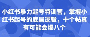 小红书暴力起号特训营，掌握小红书起号的底层逻辑，十个帖真有可能会爆八个-哦耶社群
