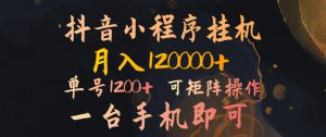 抖音小程序挂机风口项目，月入1.2w，一台手机即可操作，可矩阵操作-哦耶社群