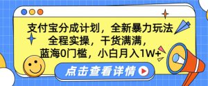 蓝海0门槛，支付宝分成计划，全新暴力玩法，全程实操，干货满满，小白月入1W+-哦耶社群