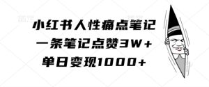 小红书人性痛点笔记,一条笔记点赞3W+,单日变现1k-哦耶社群