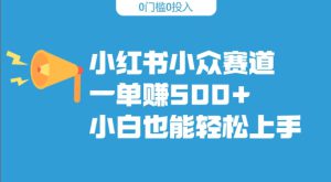 小红书小众赛道,一单收500+,小白也能轻松上手-哦耶社群
