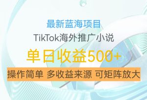 最新蓝海项目，利用tiktok海外推广小说赚钱佣金，简单易学，日入500+，可矩阵放大【揭秘】-哦耶社群