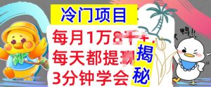 冷门项目，这个方法一定要学会，内部教程，每月1w(揭秘)-哦耶社群