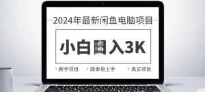 2024最新闲鱼电脑项目,动手就能吃肉的好项目-哦耶社群