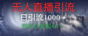 抖音快手视频号全平台无人直播引流1000+精准创业粉玩法拆解-哦耶社群