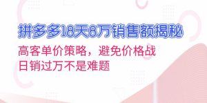 （13383期）拼多多18天8万销售额揭秘：高客单价策略，避免价格战，日销过万不是难题-哦耶社群