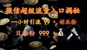 微信超级流量入口揭秘：一小时引流 99 + 创业粉，日涨粉 999 +-哦耶社群