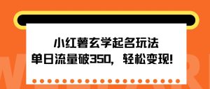 小红薯玄学起名玩法，单日流量破350+，轻松变现-哦耶社群