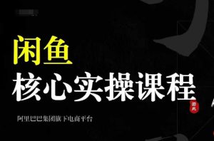 2024闲鱼核心实操课程,从养号、选品、发布、销售,教你做一个出单的闲鱼号-哦耶社群