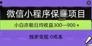 微信小程序保Z项目，独家变现，日均收益几张-哦耶社群