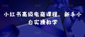 小红书高级电商课程，新手小白实操教学-哦耶社群