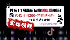 抖音11月最新狂揽创业粉秘籍,轻松日引300+精准创业粉,仅需图片+音频,轻松搞定创业类视频-哦耶社群