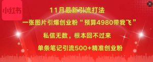 小红书11月最新图片打粉，一张图片引爆创业粉，“预算4980带我飞”，单条引流500+精准创业粉-哦耶社群