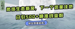 微信生态新宠小绿书:下一个流量洼地,日引500+精准创业粉,粉丝质量超高-哦耶社群