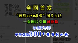 小红书“预算4980带我飞”图片打法,一张图片引爆创业粉,私信回不完,单条引流300+精准创业粉-哦耶社群