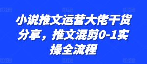 小说推文运营大佬干货分享，推文混剪0-1实操全流程-哦耶社群