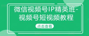 微信视频号IP精英班-视频号短视频教程-哦耶社群