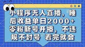 （13251期）小程序无人直播，睡后收益单日2000+ 零粉新号开播，不违规不封号 看完就会-哦耶社群