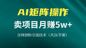 (13335期)网创IP打造课,借助AI卖项目月赚5万+,含引流技术(共26节课)-哦耶社群