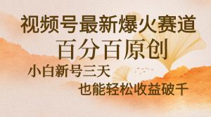 （13225期）视频号最新爆火赛道，中老年粉深信不疑，百分百原创，新号三天收益轻松...-哦耶社群