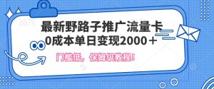 最新野路子推广流量卡，一张200-300，门槛低，0成本单日变现多张-哦耶社群