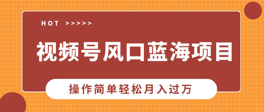 （13945期）视频号风口蓝海项目，中老年人的流量密码，操作简单轻松月入过万-哦耶社群