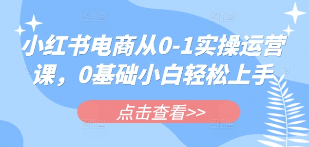 小红书电商从0-1实操运营课，0基础小白轻松上手-哦耶社群