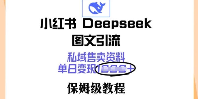 小红书Deepseek图文引流，私域售卖资料，单日变现多张，保姆级教程-哦耶社群