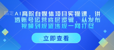 AI高阶自媒体项目实操课,讲透账号运营底层逻辑,从发布视频到规避违规一网打尽-哦耶社群