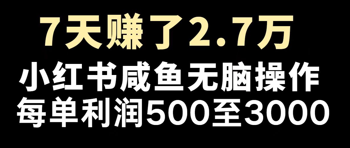 (14183期)最赚钱项目之一,2025爆火,逆风翻盘!-哦耶社群
