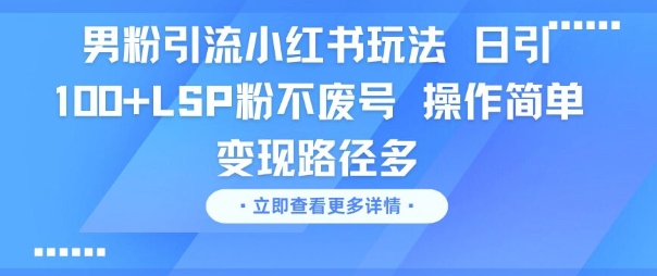 男粉引流小红书玩法，日引100+LSP粉不废号，操作简单，变现路径多-哦耶社群