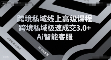 跨境私域线上高级课程，跨境私域极速成交3.0+Ai智能客服-哦耶社群