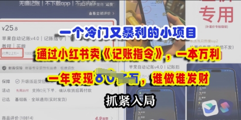 一个冷门需求，通过小红书卖《记账指令》，一本万利，谁做谁发，抓紧入局-哦耶社群