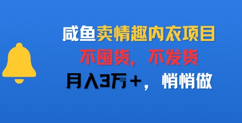 咸鱼卖情趣内衣项目，不囤货，不发货，月入3W+，悄悄做-哦耶社群