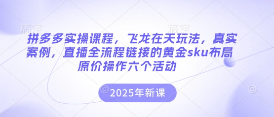拼多多实操课程，飞龙在天玩法，真实案例，直播全流程链接的黄金sku布局原价操作六个活动-哦耶社群