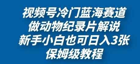视频号冷门蓝海赛道，做动物纪录片解说，新手小白也日入3张，保姆级教程-哦耶社群