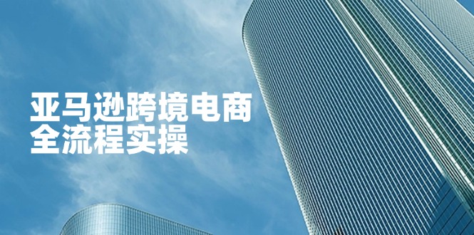 （14252期）亚马逊跨境电商全流程实操，教你从零开始，掌握店铺运营与广告技巧-哦耶社群
