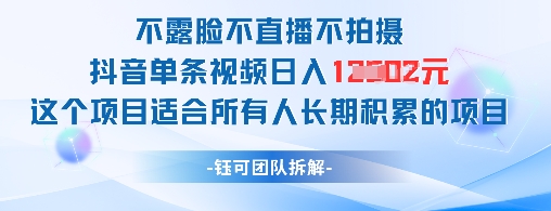 不露脸不直播不拍摄抖音单条视频日入1k+这个项目适合所有人长期积累的项目-哦耶社群