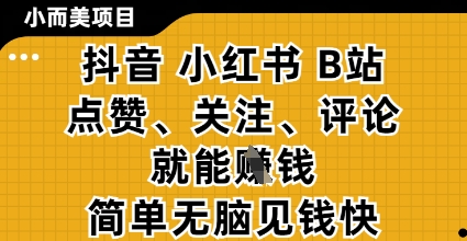 小而美的项目，抖音小红书B站视频点赞、关注、评论就能挣钱，简单无脑立见收益，妥妥的零撸项目【揭秘】-哦耶社群